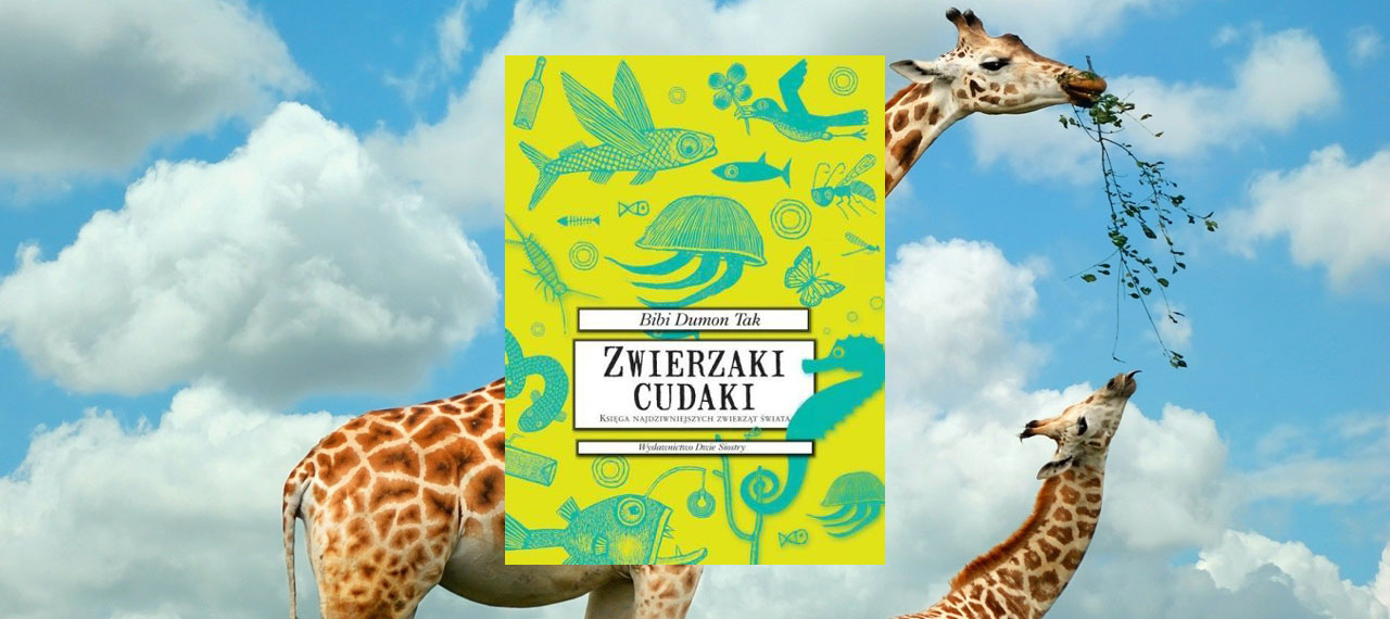 Zwierzaki cudaki