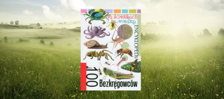 Baner z okładką książki 100 Bezkręgowców