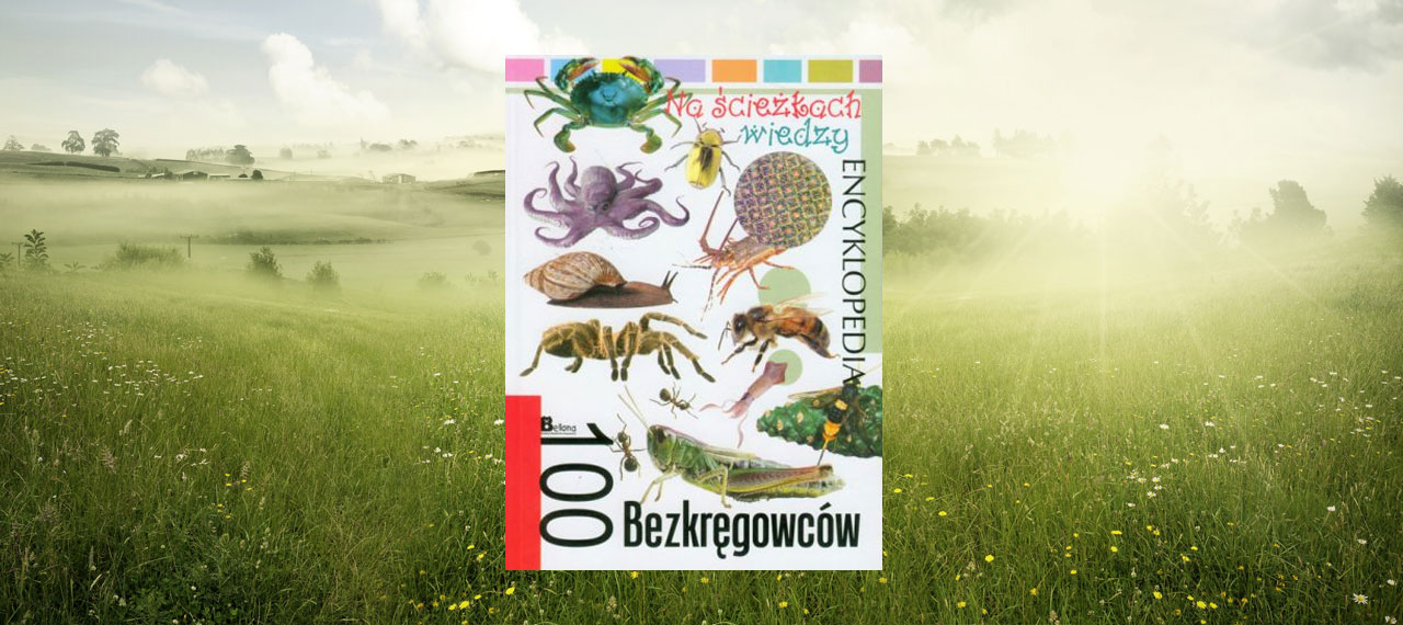 100 Bezkręgowców