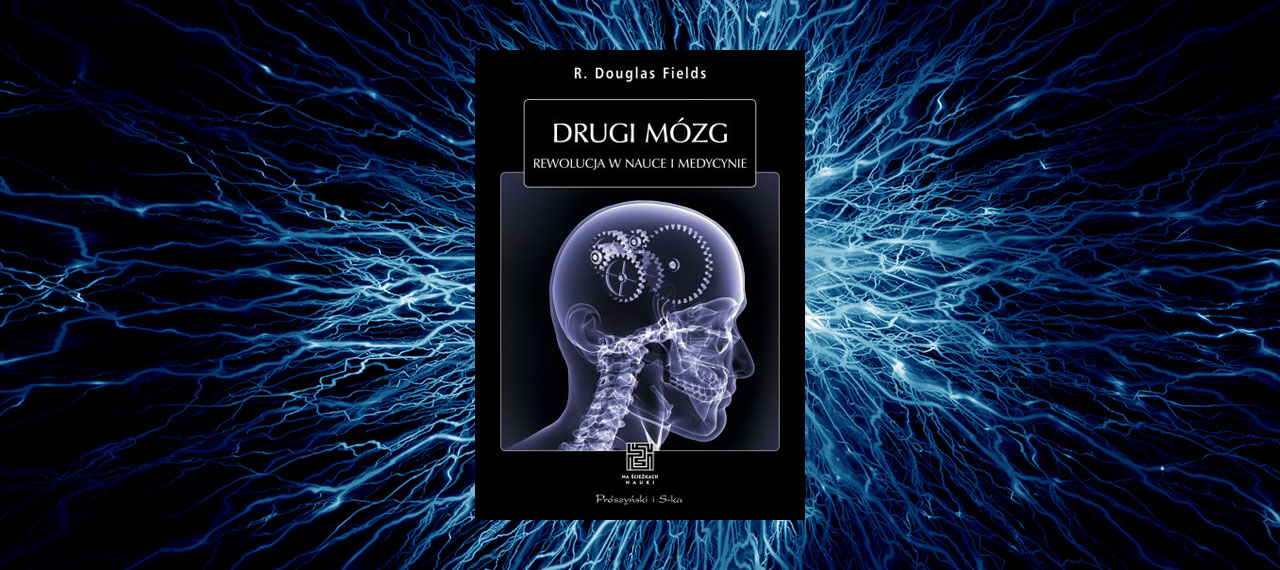 Drugi mózg
