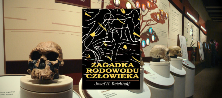 Baner z okładką książki Zagadka rodowodu człowieka. Narodziny człowieka w grze sił z przyrodą