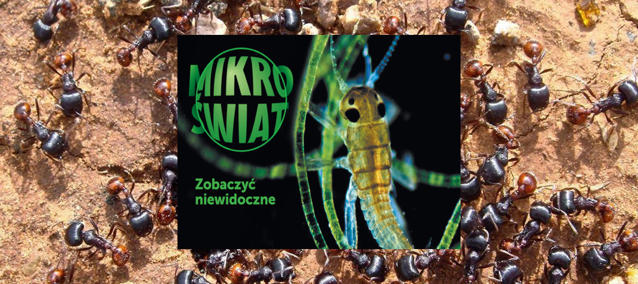 Mikroświat: wystawa czasowa w Centrum Nauki Kopernik