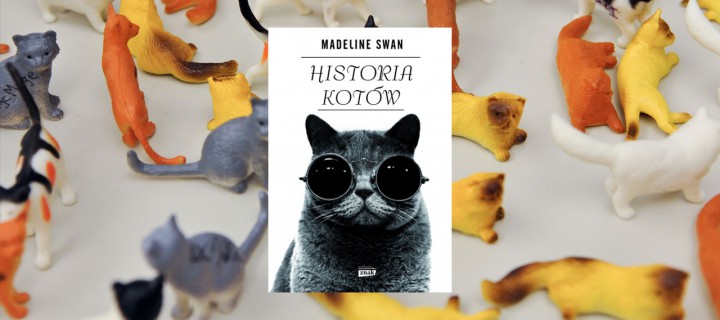 Baner z okładką książki Historia kotów