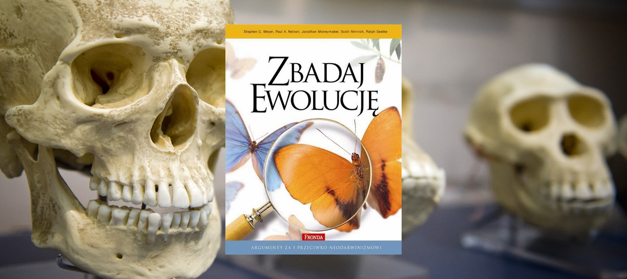 Zbadaj ewolucję