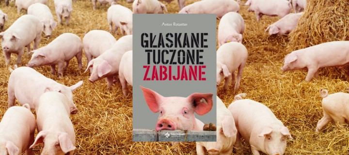 Baner z okładką książki Głaskane, tuczone, zabijane