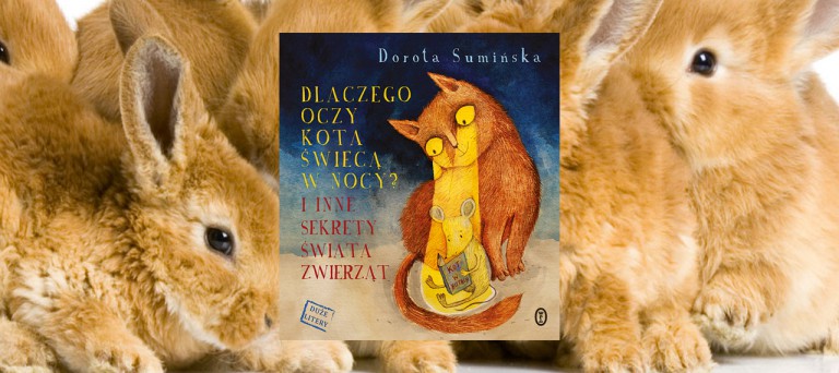 Dlaczego oczy kota świecą w nocy? I inne sekrety świata zwierząt