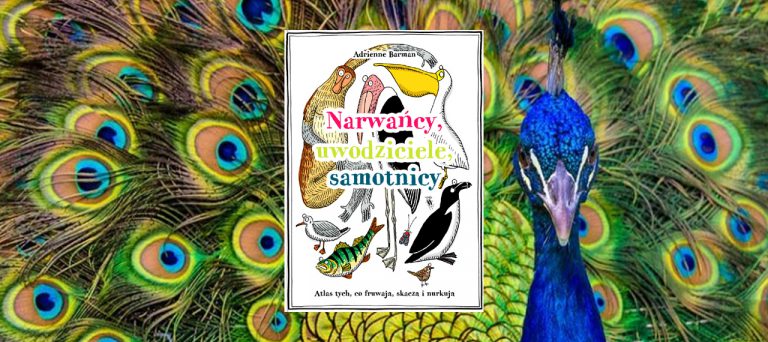 Narwańcy, uwodziciele, samotnicy