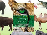 Baner z okładką książki Bystre zwierzę. Czy jesteśmy dość mądrzy, aby zrozumieć mądrość zwierząt?