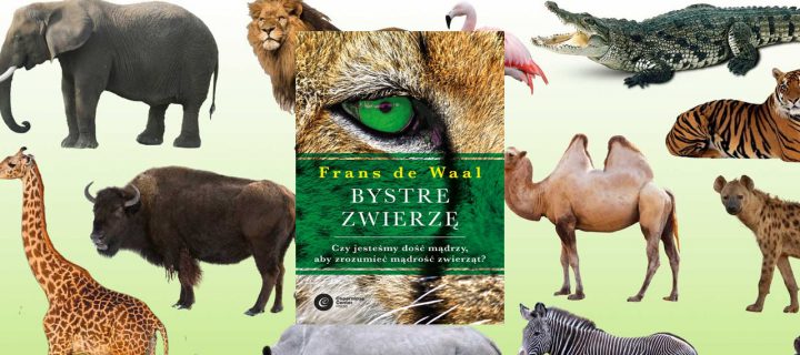 Baner z okładką książki Bystre zwierzę. Czy jesteśmy dość mądrzy, aby zrozumieć mądrość zwierząt?
