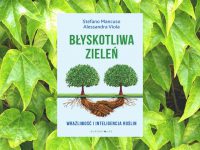 Baner z okładką książki „Błyskotliwa zieleń” czyli rzecz o wrażliwości i inteligencji roślin