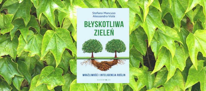 Baner z okładką książki „Błyskotliwa zieleń” czyli rzecz o wrażliwości i inteligencji roślin