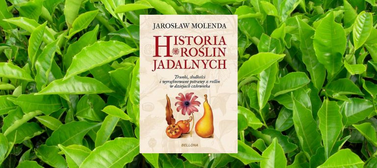 Historia roślin jadalnych. Trunki, słodkości i wyrafinowane potrawy z roślin w dziejach człowieka