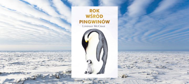 Baner z okładką książki Rok wśród pingwinów. Zapiski i wspomnienia z wyprawy na Antarktydę