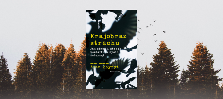 Krajobraz strachu. Jak stres i strach kształtują życie zwierząt