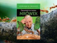 Baner z okładką książki Opowieści ze świata mrówek