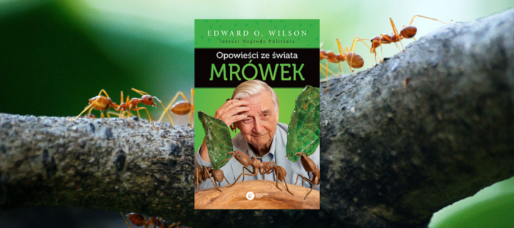 Baner z okładką książki Opowieści ze świata mrówek