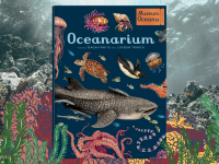 Baner z okładką książki Oceanarium. Muzeum Oceanu