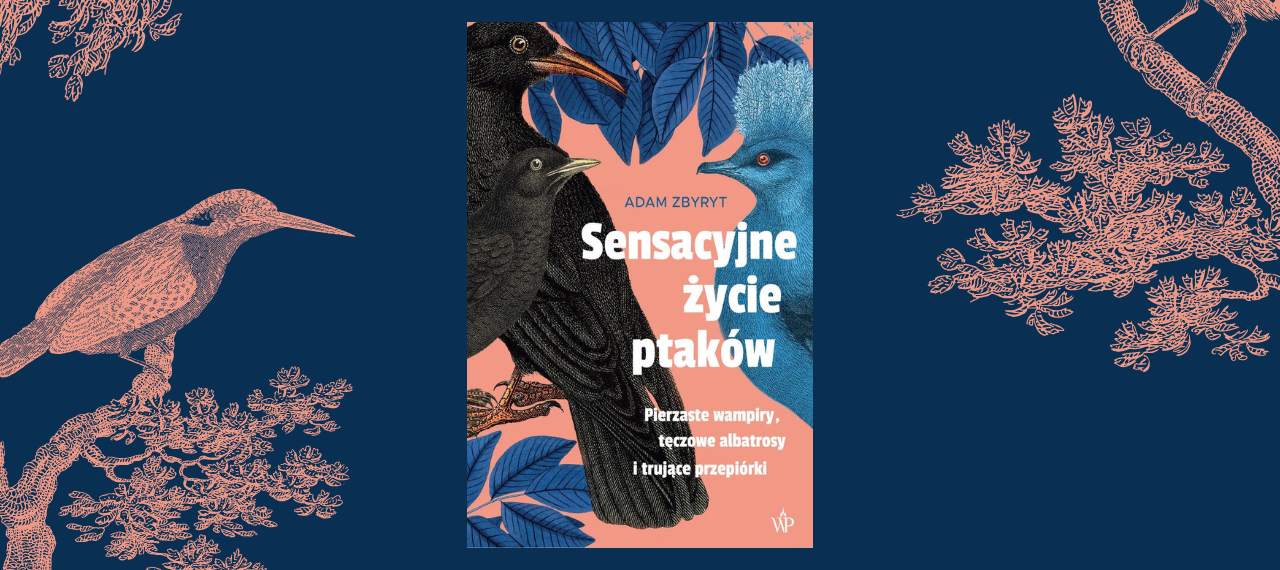 Baner z okładką książki Sensacyjne życie ptaków. Pierzaste wampiry, tęczowe albatrosy i trujące przepiórki