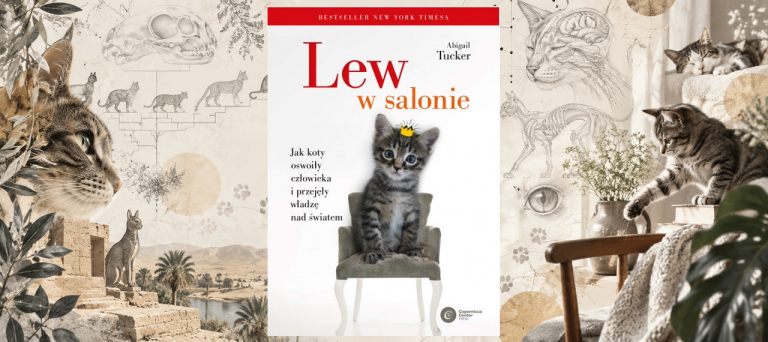 LEW W SALONIE. JAK KOTY OSWOIŁY CZŁOWIEKA I PRZEJĘŁY WŁADZĘ NAD ŚWIATEM